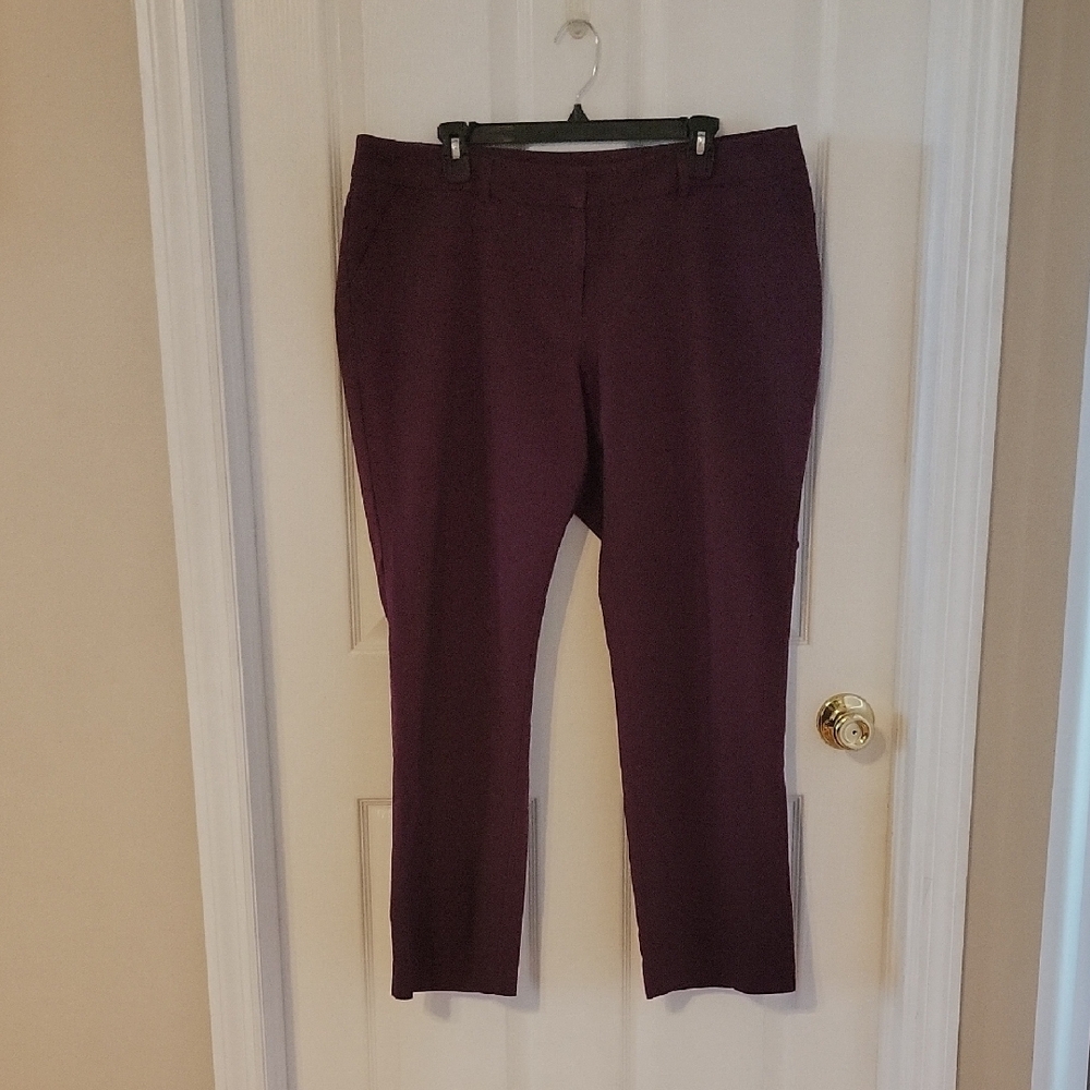 Apt. 9 Women's Plum Trousers